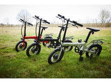 Load image into Gallery viewer, E-go folding electric bike on field